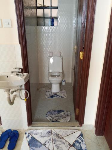 a bathroom with a toilet and a sink at Halcon Homes Machakos Boma Yangu in Machakos