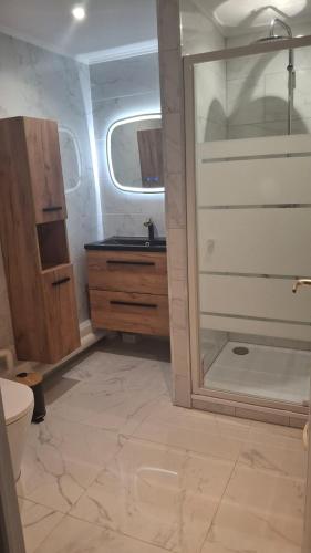 a bathroom with a shower and a toilet at LesJardinsFleuris in Mandelieu-La Napoule