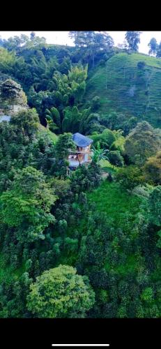 a house in the middle of a lush green hillside at Moonshine - Sereno Glamping in Manizales