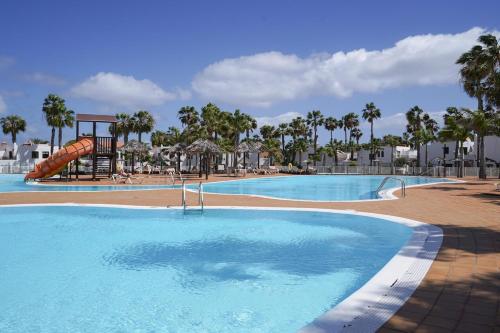 Oasis Nomada Corralejo