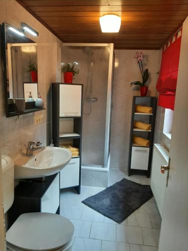 a bathroom with a sink and a shower and a toilet at Eigentumswohnung Nähe See in Pirna