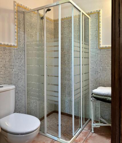 a bathroom with a toilet and a shower at Cortijo Zalamea in Zalamea la Real