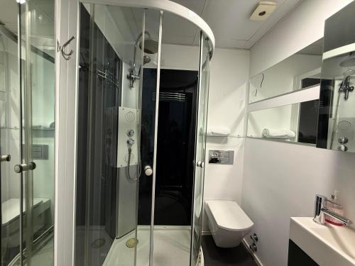 a bathroom with a glass shower and a toilet at Loft Elegante Norte de Madrid in San Sebastián de los Reyes
