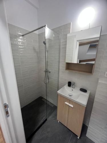 a bathroom with a shower and a white sink at Central View Penthouse & Parking in Târgu-Mureş