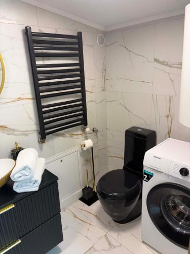 a bathroom with a washing machine and a toilet at LUX HOUSE Roztocze Sauna i Bania z hydromasażem in Krasnobród