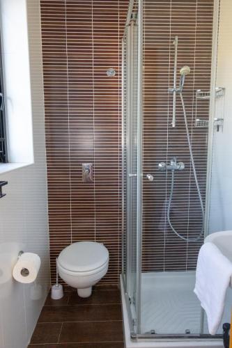a bathroom with a toilet and a glass shower at Marsalforn Panorama Penthouse in Marsalforn
