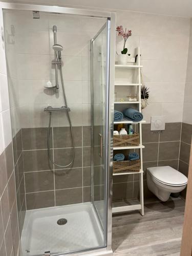 a shower stall in a bathroom with a toilet at Studios Nuitée en Provence in Aix-en-Provence
