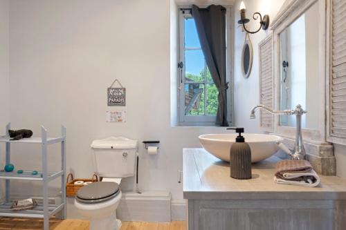 ein Badezimmer mit Waschbecken, Toilette und Fenster in der Unterkunft Chambres D'hôtes Baladous in Montgaillard-de-Salies
