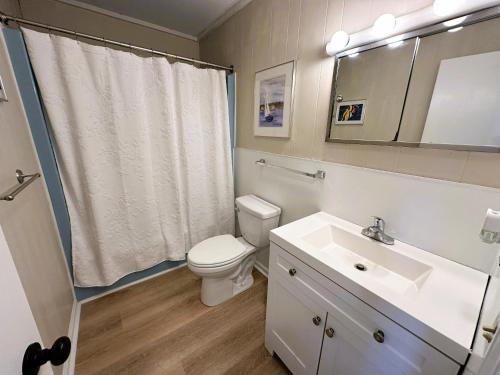 a bathroom with a toilet and a sink and a mirror at N6913- Heidaway (Formerly Devlin's Roost) in Nags Head