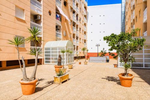 Center, Beach Comfort