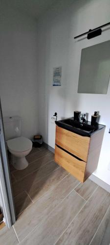 a bathroom with a toilet and a black sink at Pacific Green-80M2-Clime-2 big Suites-Parking privé 2 cars-Jardin-Confort in Chalifert