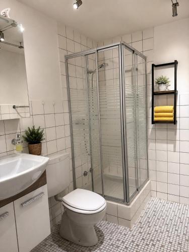 a bathroom with a shower and a toilet and a sink at Holiday Leukerbad Ruhe Natur Berge Free Parking 80 in Leukerbad
