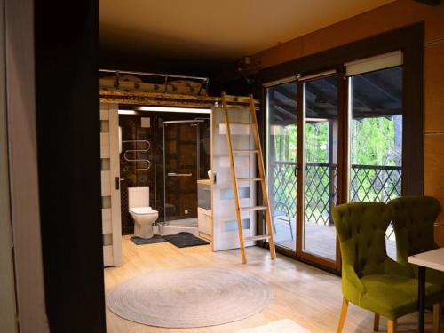 a bathroom with a toilet and a ladder in a room at Царів Хутір in Tsarivka