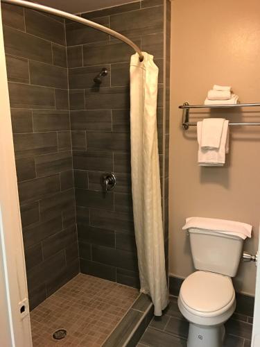 a bathroom with a shower with a toilet at Express Inn Weslaco/Mercedes in Weslaco