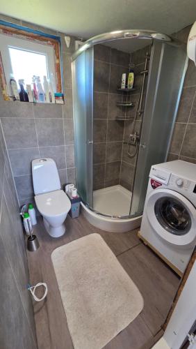 a bathroom with a toilet and a shower and a washing machine at Peeduland Cabin in Kohatu