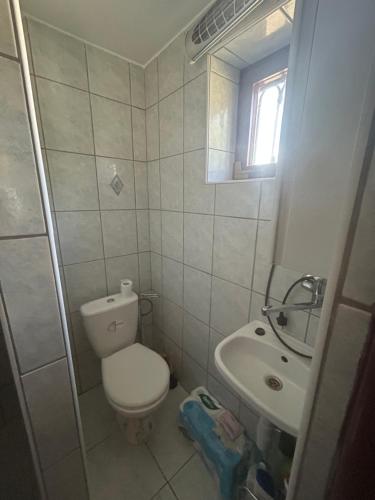 a small bathroom with a toilet and a sink at Stella apartman in Gabčíkovo