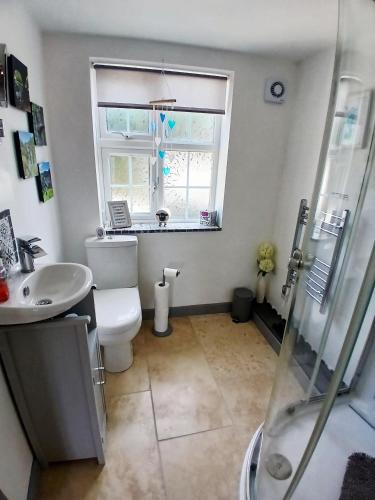 a bathroom with a toilet and a sink and a window at Yr Hen Efail - Quirky Old Smithy cottage near forest walks, cycling & lakes in Garthbeibio
