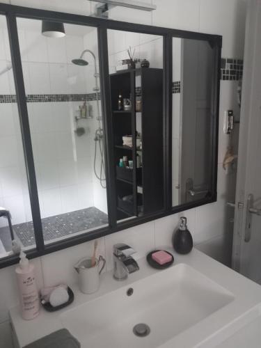 a bathroom sink with a mirror and a shower at Ma gimeloise in Gimel