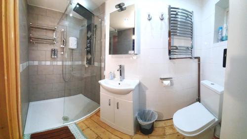 a bathroom with a sink and a shower and a toilet at FREE DOG STAY - LARGE APARTMENT - FREE PUBLIC PARKING BEDROOM TV, WALK in SHOWER - FULL Kitchen - NETFLIX - Super Fast WiFi - DVD's-Welcome Tray - No Deposits - Just Meters from Gavin n Stacey Film House in Barry