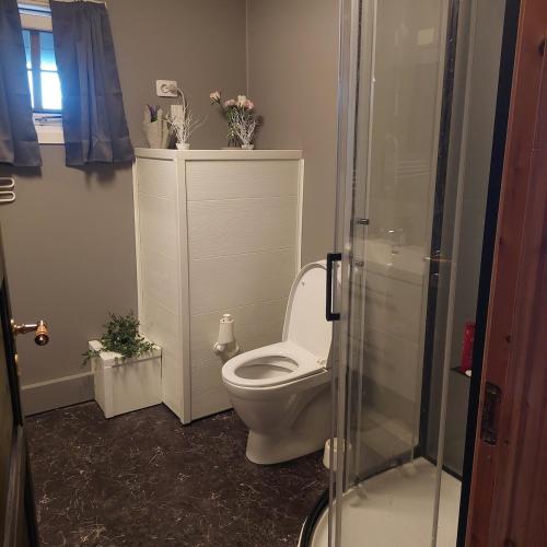 a bathroom with a white toilet and a shower at Cabin in Hjelmeland in Hjelmeland