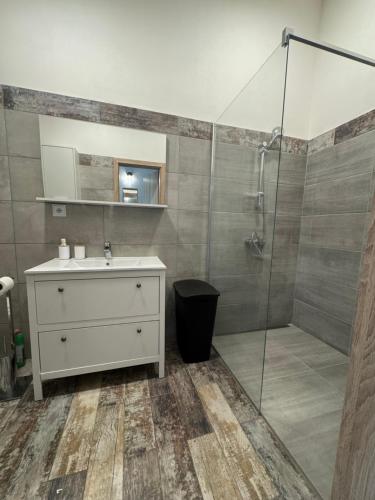 a bathroom with a sink and a shower at Ranč v Landu in Kamýk nad Vltavou