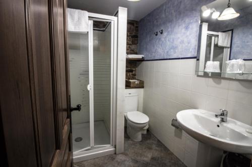 uma casa de banho com um chuveiro, um WC e um lavatório. em Apartamentos A Casa Nova em A Pontenova