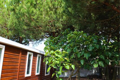 Quinta das Figueiras - Cozy Nature Cabin Near Sesimbra Beaches