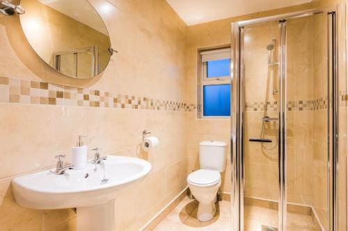 a bathroom with a toilet and a sink and a shower at Elagh Cottages in Derry Londonderry
