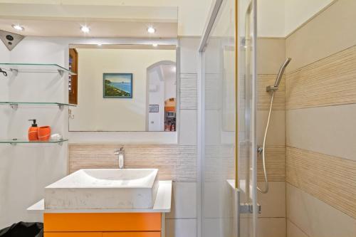 a bathroom with a sink and a shower at Studio Lili in Le Diamant