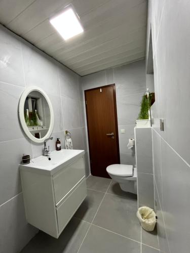 a bathroom with a sink and a toilet and a mirror at Homestay Snæfellsnes in Stykkishólmur