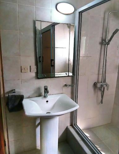a bathroom with a sink and a shower and a mirror at Studio Apt-Osu in Christiansborg