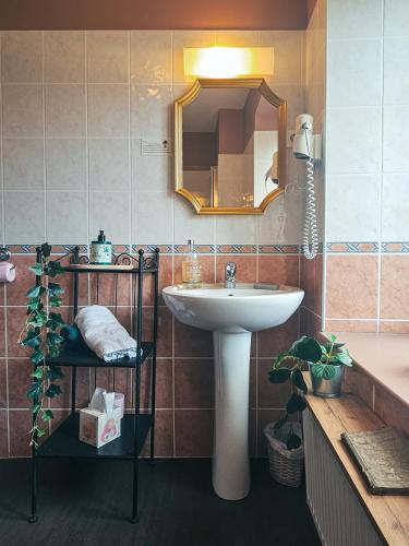 a bathroom with a sink and a mirror and a tub at Auberge de Chanteuges in Chanteuges