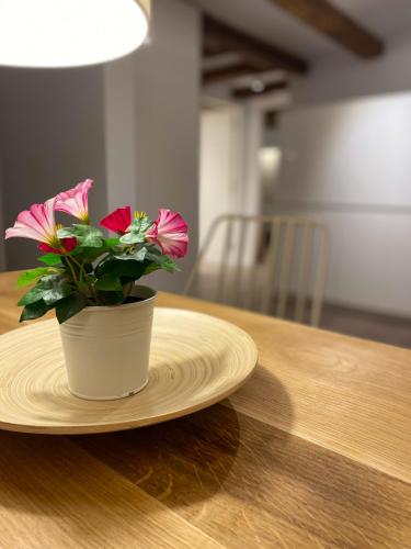 Pau Claris Ginger - 2BR next to Passeig de Gracia