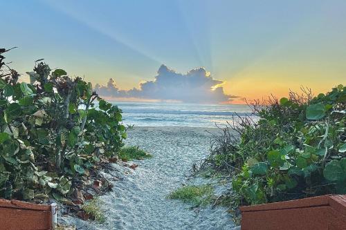 a beach with plants and the ocean at sunset at Ocean Breeze Condo in Jensen Beach