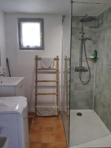 a bathroom with a shower and a toilet and a sink at Charming cottage in Boursay