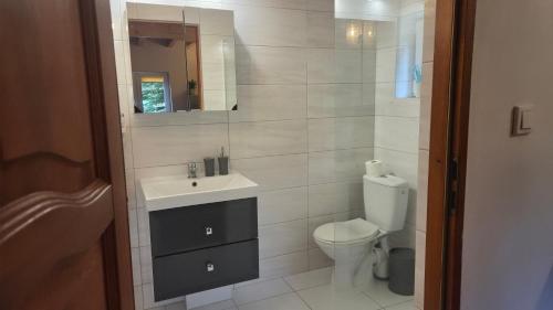 a bathroom with a toilet and a sink and a mirror at Domki Magda Rewal in Rewal