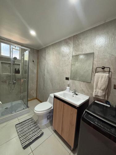 a bathroom with a toilet and a sink and a shower at Cabañas Lago Huillinco in Chonchi