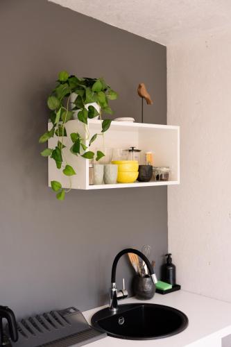 a kitchen sink with a plant hanging from a shelf at Liepaja Garden Studio with Terrace in Liepāja