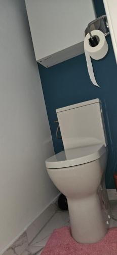 a bathroom with a toilet with a roll of toilet paper at Elsa in Pontivy
