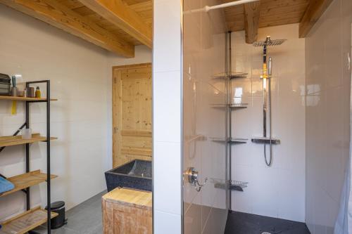 a shower with a glass door in a bathroom at Maison Chalet in Le Nayrac
