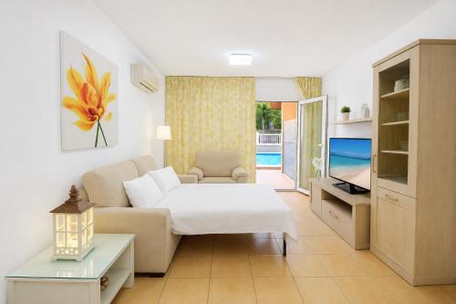 a living room with a couch and a tv at GOLDEN BEACH MOGAN in Puerto de Mogán