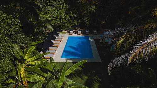 an overhead view of a swimming pool in the jungle at Hotel Nya in Montezuma