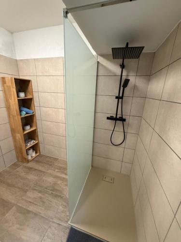 a shower with a glass door in a bathroom at Gästeunterkunft Am Hirschbach in Hirschbach