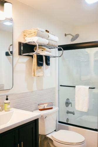 a bathroom with a shower and a toilet and a sink at Pinedale Cozy Cabins in Pinedale