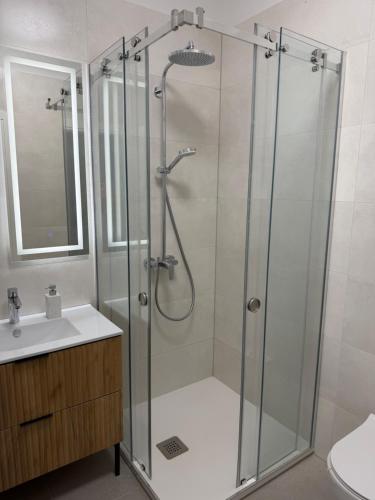 a shower with a glass door next to a sink at Slatine Residence apartament No2 in Slatine