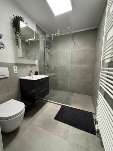 a bathroom with a shower and a toilet and a sink at Spatzennest am Bodensee in Bermatingen