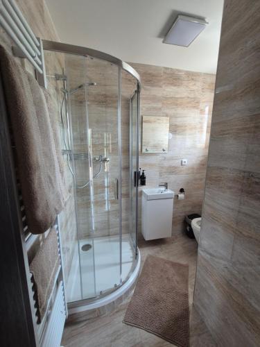 a bathroom with a glass shower and a toilet at Countryside Apartments 252 in Poříčí nad Sázavou