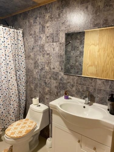 a bathroom with a toilet and a sink at Cabaña Payer in Villarrica