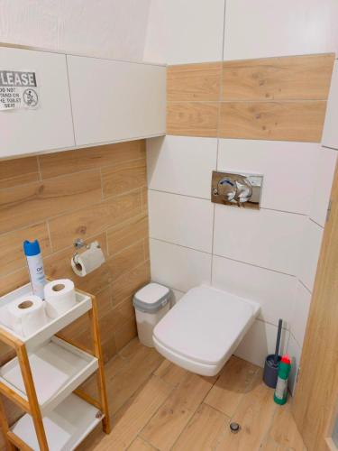 a small bathroom with a toilet and a sink at Apartmány 149 u náměstí in Český Krumlov