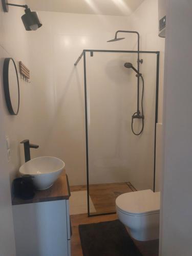 a bathroom with a shower and a toilet and a sink at Miskant Apartamenty in Stary Karwno